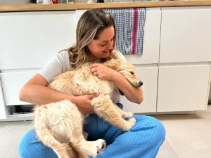 Vrouw knuffelt een ontspannen Golden Retriever-puppy tijdens een puppycursus.